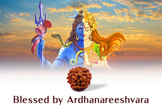 2 MUKHI RUDRAKSHA