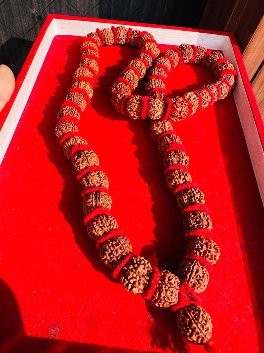 7 Mukhi Rudraksha Mala – 54 Beads (Nepali Origin)
