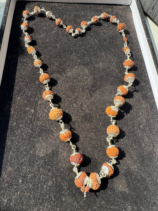 Sarv Shakti 1 to 21 mukhi rudraksha mala (Indrani mala) Indonesian