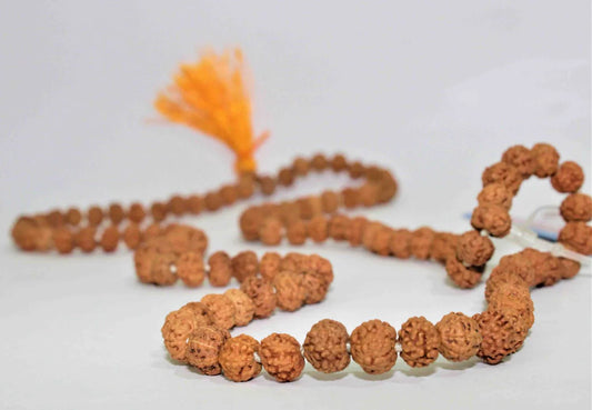 Natural 7 Mukhi Rudraksh Mala (Indonesian Origin)
